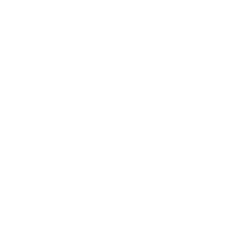 qrImage